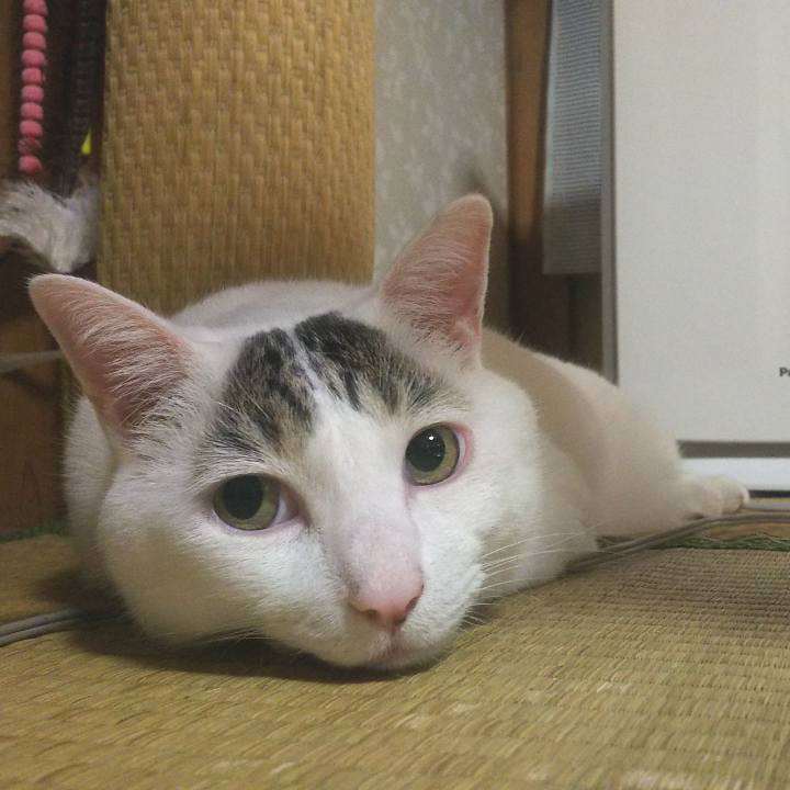 D9625d5f 085e 4eaf 9b49 e951ec58c5f1 1566435915075