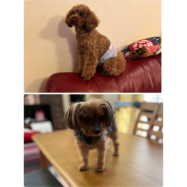 D9628160 56a1 4f0f b647 9a62f9e576ee 1672647671719