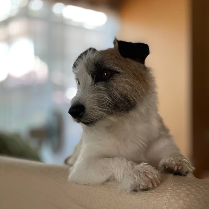 D962ca2b d319 43bf a20f e7e7e0d69606 1627975977964