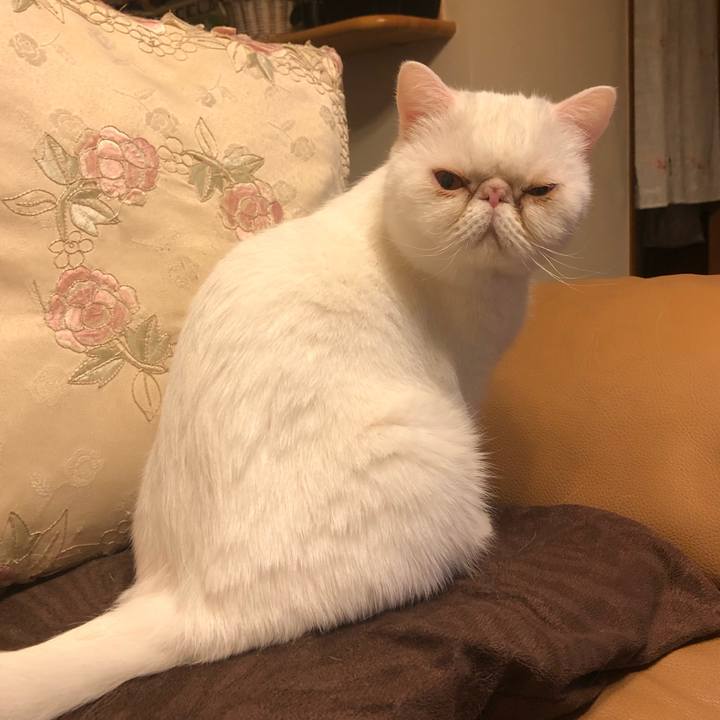 D962cfa0 384f 439b b135 c16a63827010 1679729365669