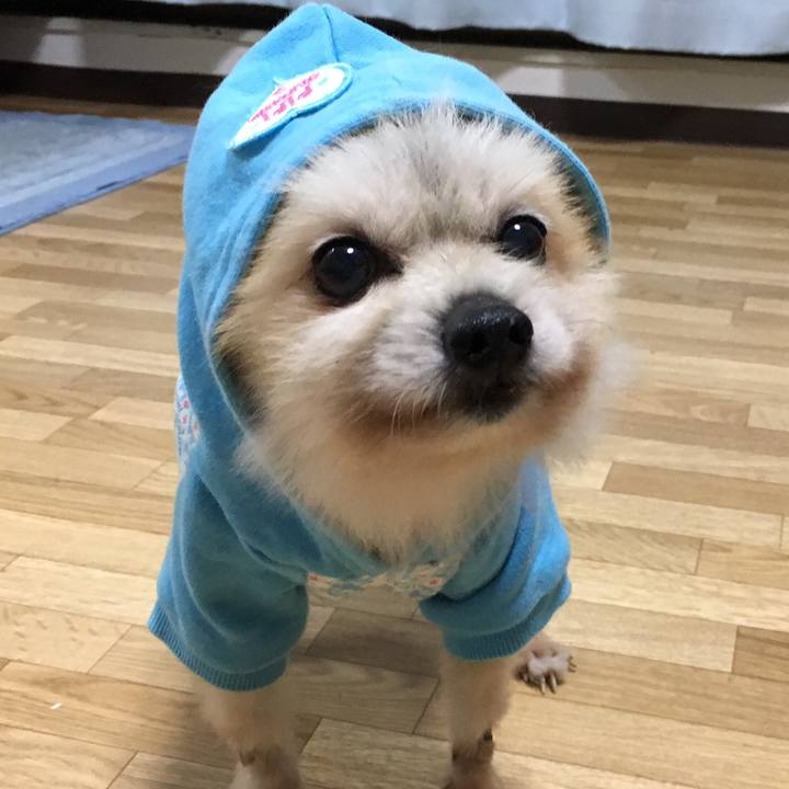 D962febe 9ac0 4614 8377 aa81d814e94e 1511818723708