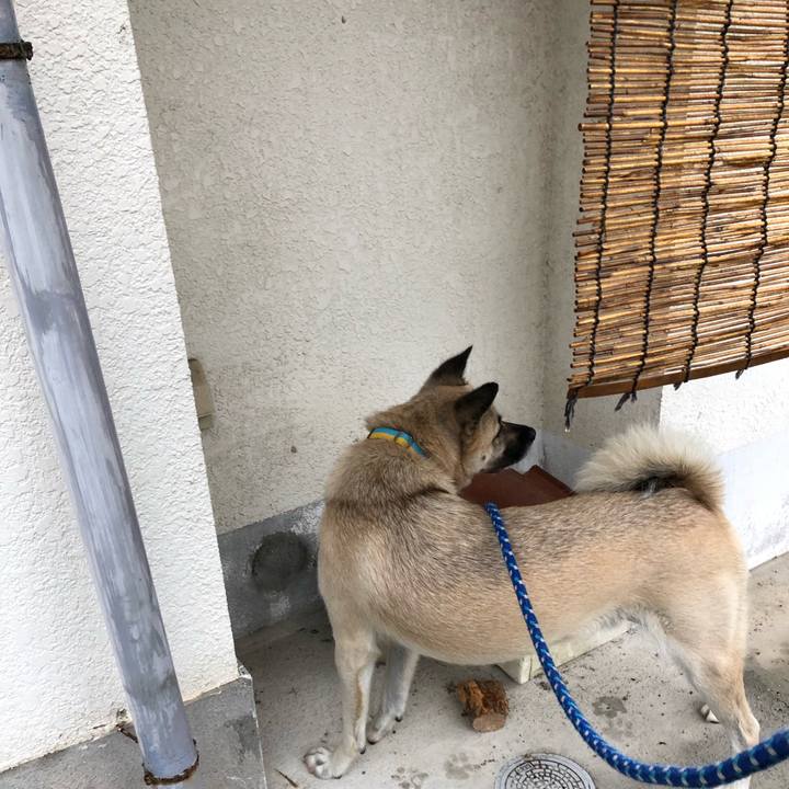 D96315b4 e623 48db abc9 647f8312cc5c 1537440482210