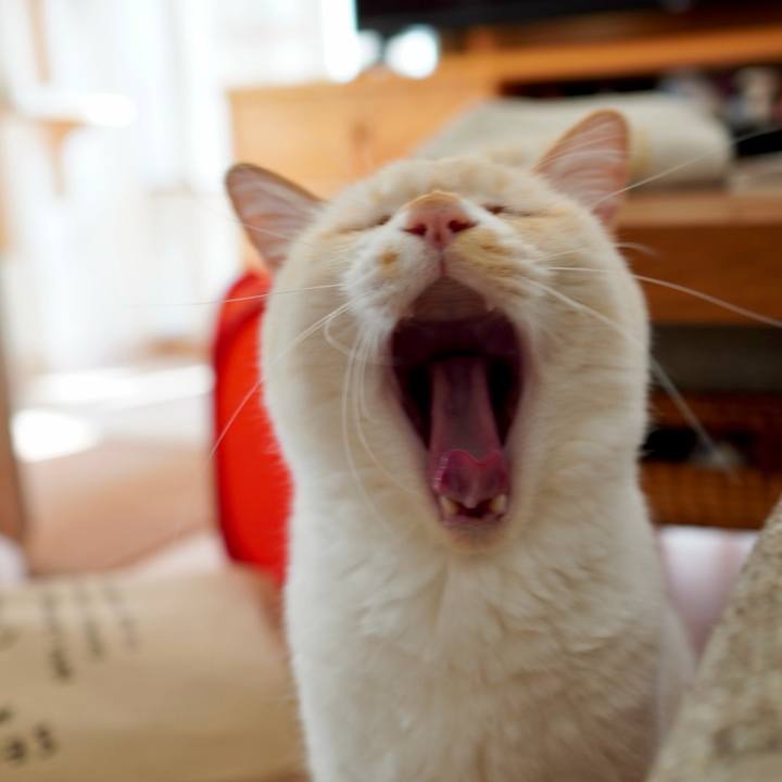 D9631db8 b3dd 458d 958d 360f25bc5479 1768381733785