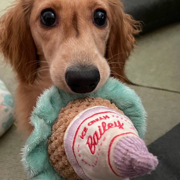 D9633406 c9fc 45f7 af27 e21a976f591c 1691125300523