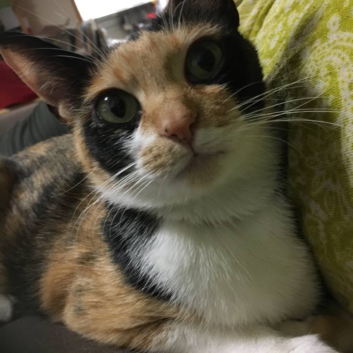 D963a99a 7142 4d4f b745 6b5d9f3e5c84 1513429329009