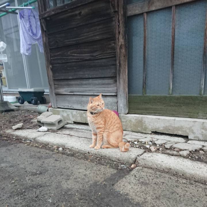 D9644202 6048 4c06 8b82 092b7a714b9c 1659647340249