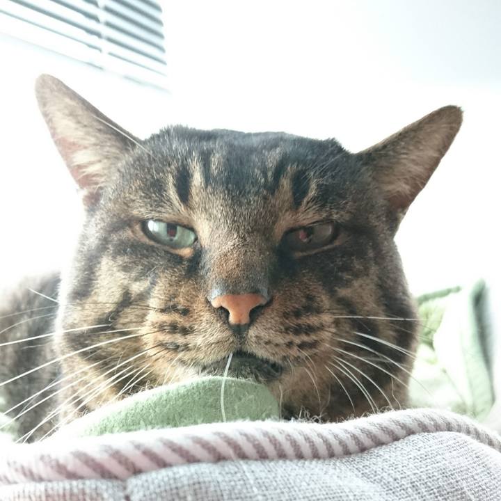 D96463ad 3198 4c3b 9b94 f69d5fb2583b 1576921598420