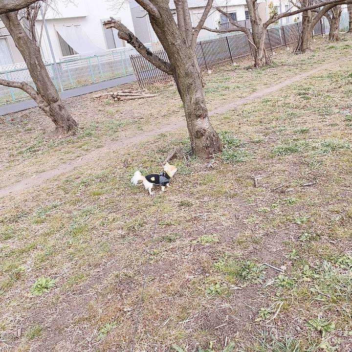 D964709d 093d 4c0e b179 bab69d6767de 1614581227688