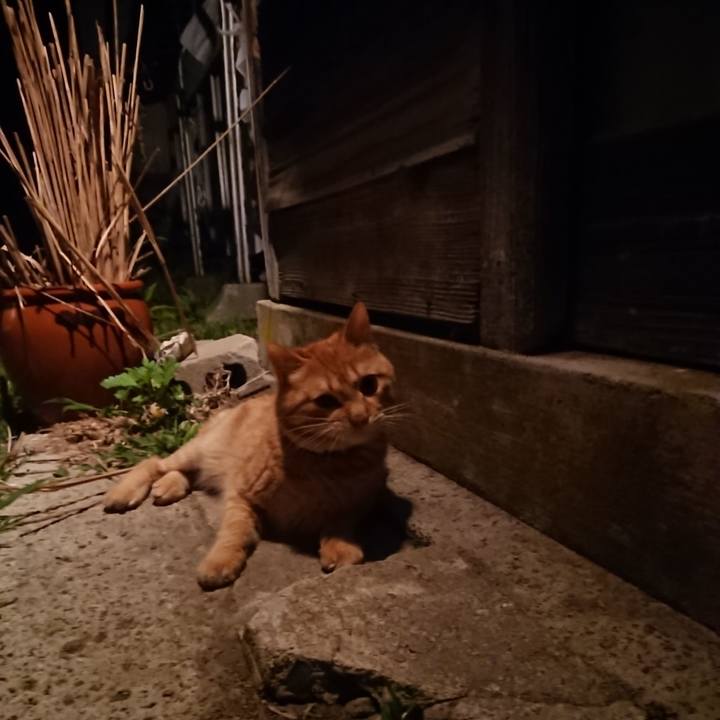 D964950e a532 4fa9 913a 9430ce96e760 1655897153667