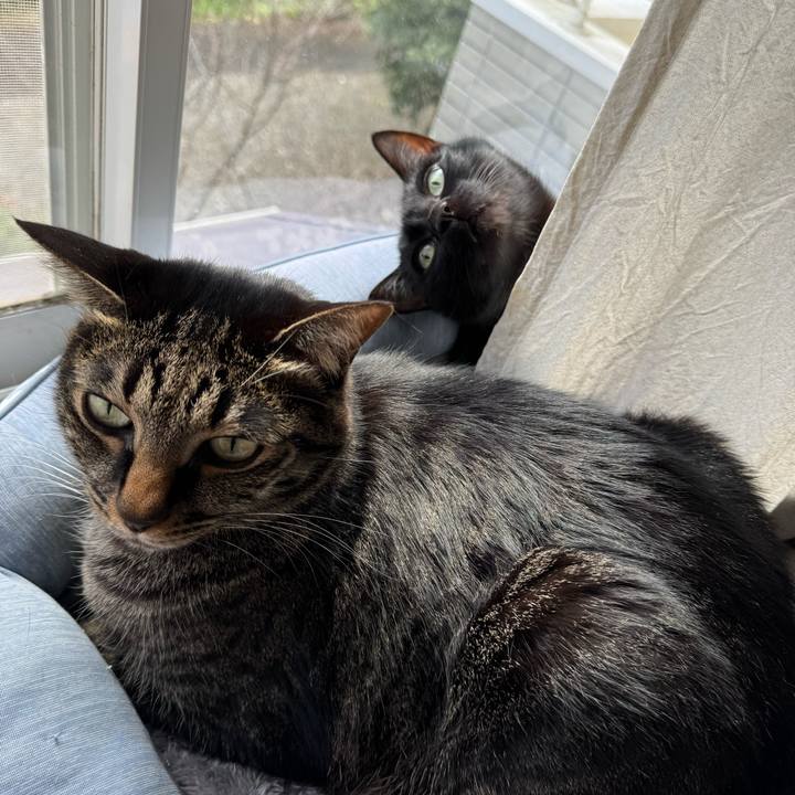 D964d60a 3b68 4c66 9da1 b64155b98502 1771154410424