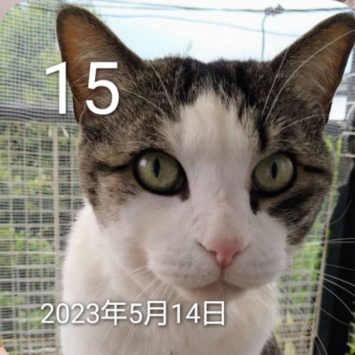 D964e58a 264b 4c7c 9fe6 194375966ccb 1778817885449