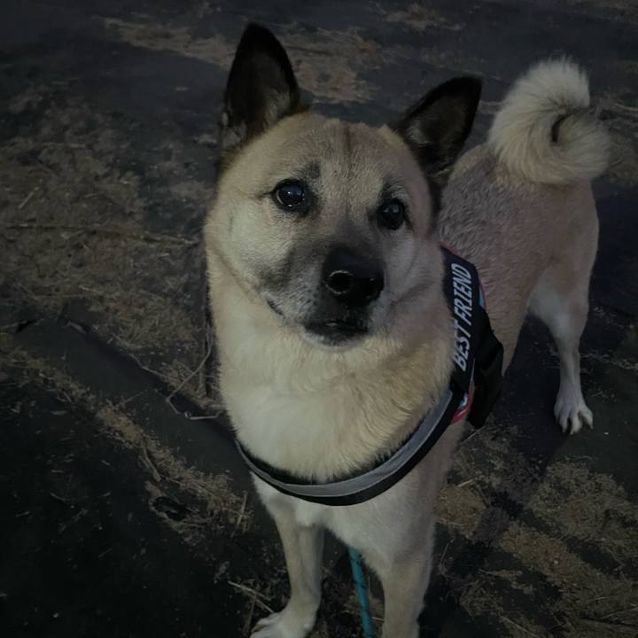 D964f93e baa8 40d9 bf0a 6f7e96ad0dc2 1707826901256