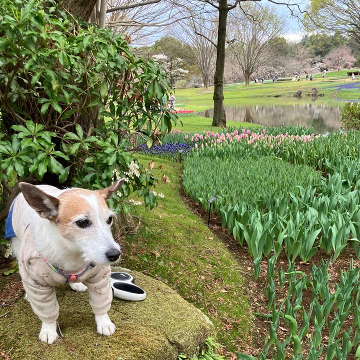 D9650f3f acdc 4204 b03c a9f8f7d4f593 1743377301895