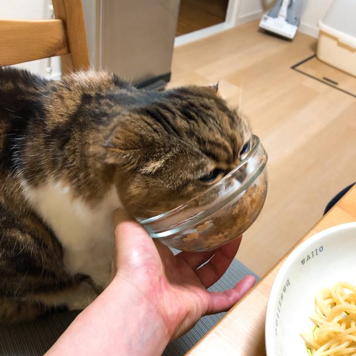 D9650fd8 20e5 4c73 bcda 32bd1bb8c11e 1551698307282