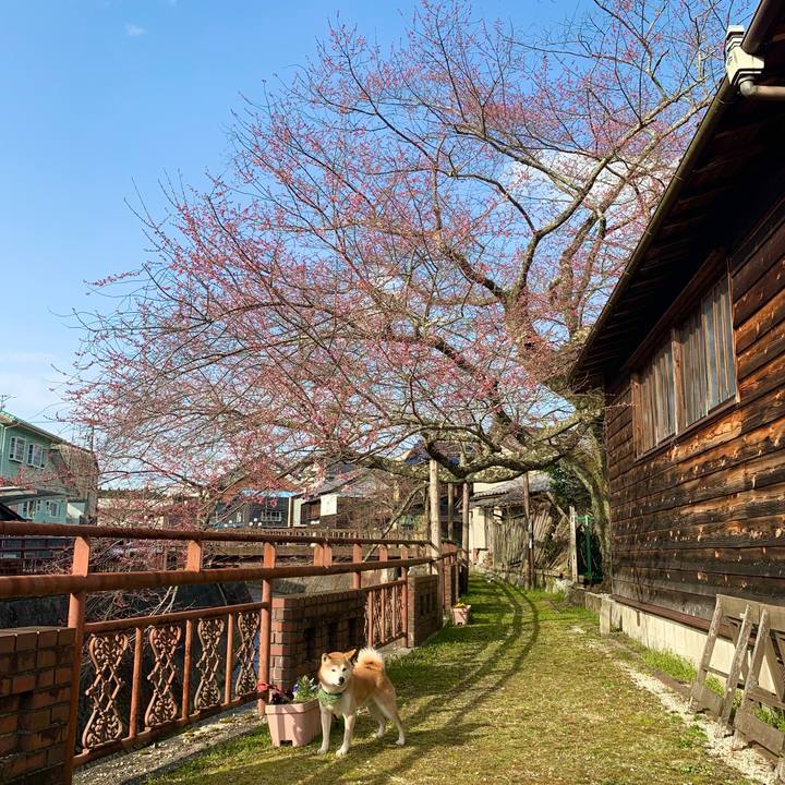 D96512d2 ba26 4375 a65b 19b990cb77ef 1648711947658