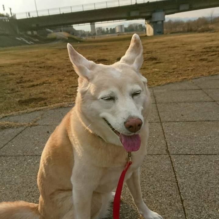 D96585fe dd07 407d b294 5435789e62b1 1518697032885