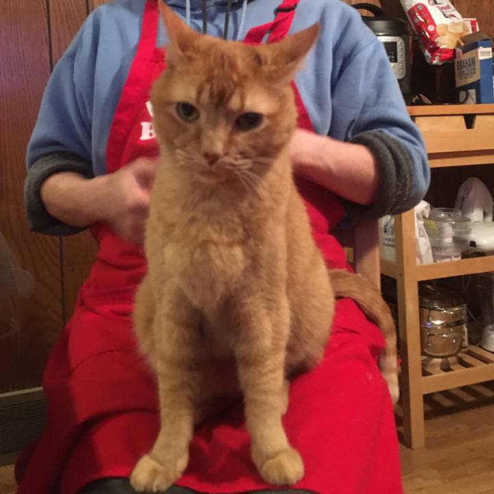 D9658e45 70bd 4586 9257 b621b2b5a1a0 1632788348362