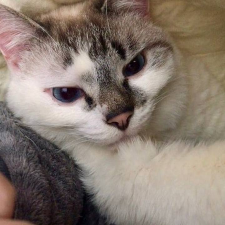 D965a546 8ad3 486c bd95 3f894ce549ff 1550893377506