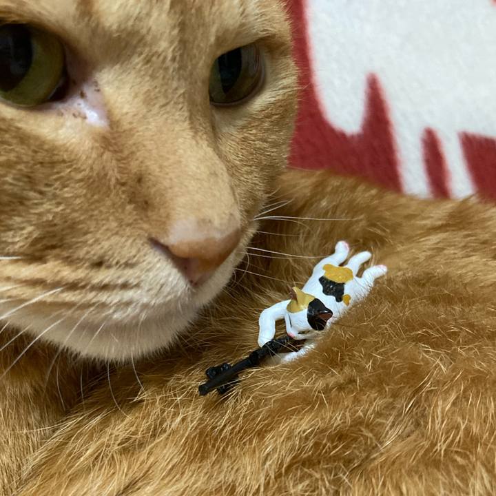 D965b150 f816 4389 979f 7caca4e1fcdd 1758541644188