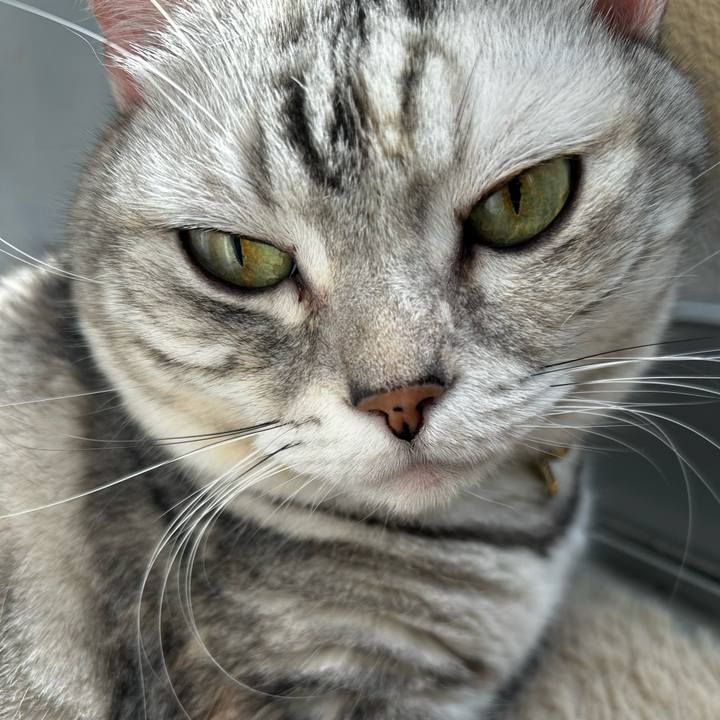 D965e53e a412 4c7a 8863 740a73cc721d 1763504712542