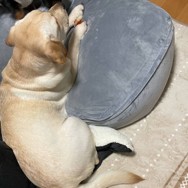 D965eecf 8adc 4bec 992e 6b363c5061e0 1640563024615