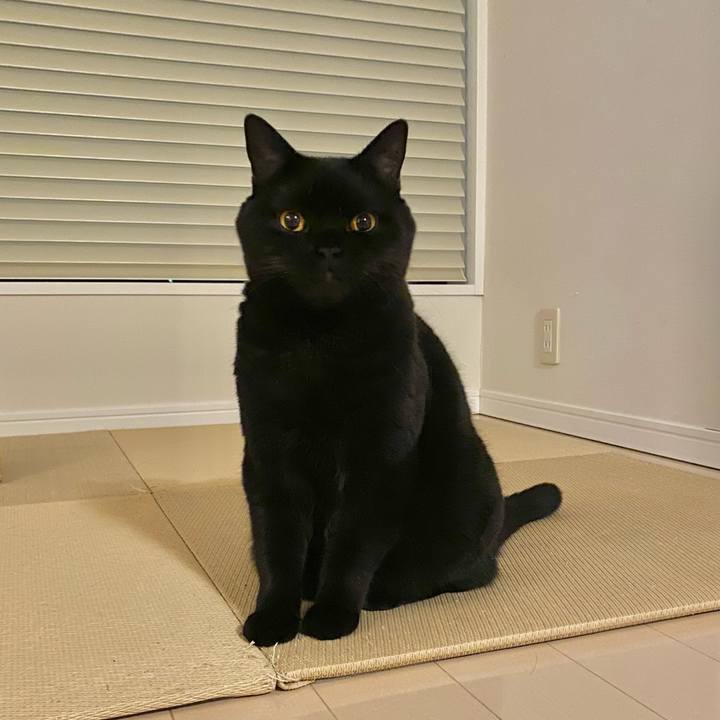 D965fd97 ecae 427a a221 d492b54cd182 1699183459442