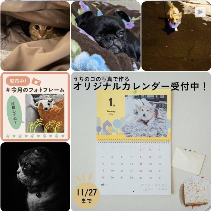 D966380d a0da 480c 859b a0b28cb9ed96 1762958991800