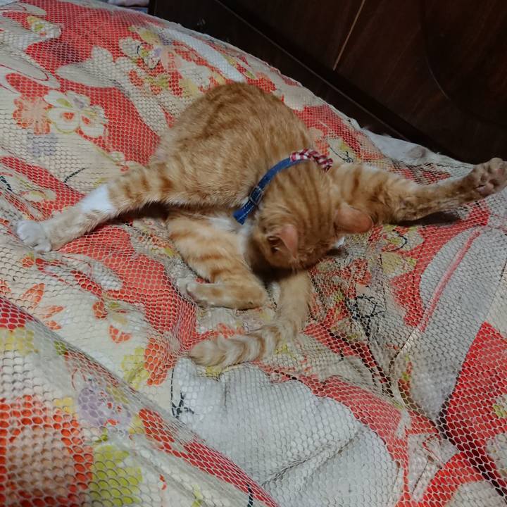 D9666932 0dc8 4db8 bc3d 189fc1979166 1559395705864