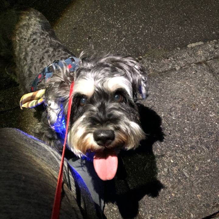 D966924c 9f15 4f99 8d41 557e22370854 1627691177137