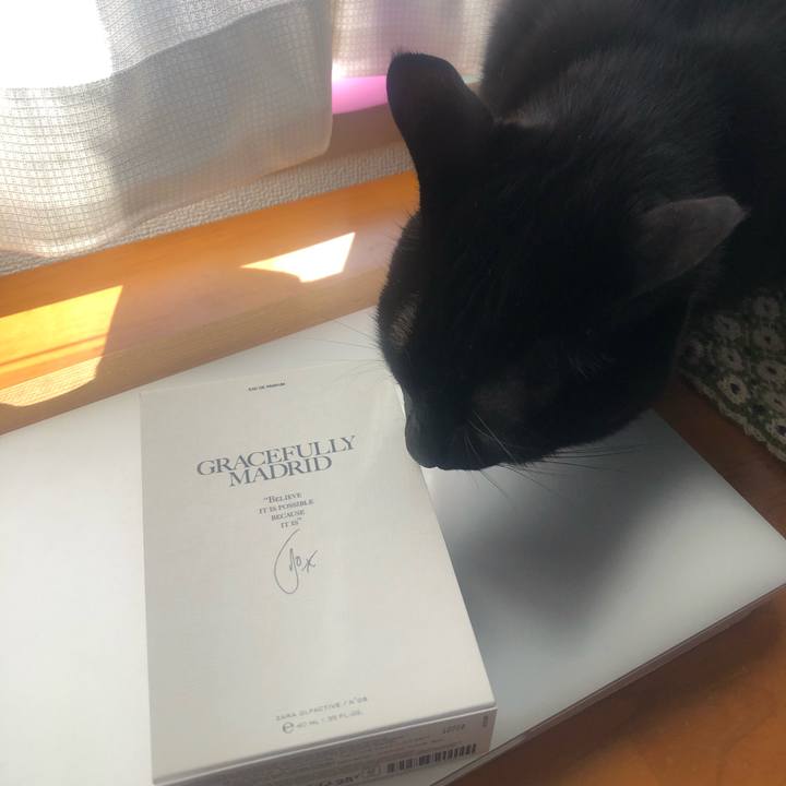 D966b0ce 0644 4dd4 92b2 f69a82fe8803 1644552460284