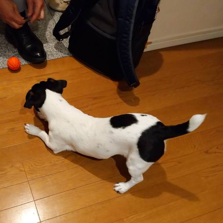 D966e095 5c12 4005 ba80 37e3b0bd63c6 1591835233203