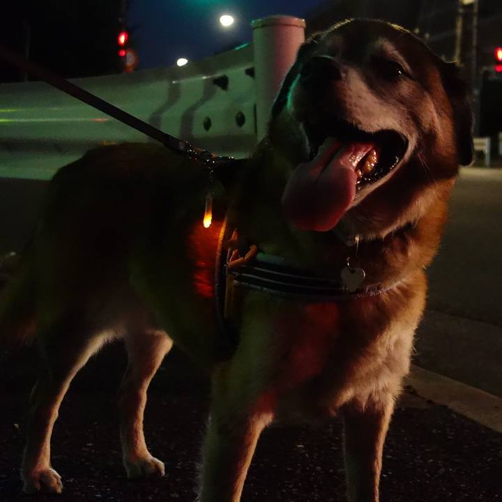 D966e99e 08cd 4991 ab04 7d5646abc738 1676943177567