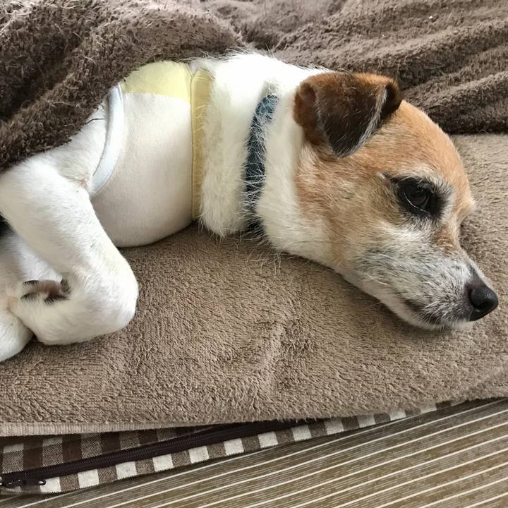 D966eec4 6d7e 4904 8b12 e884689ae4ec 1595390446601