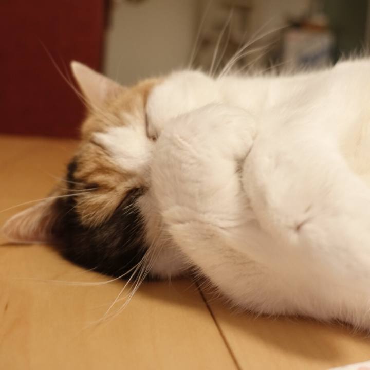 D966f7b2 efd1 4455 9795 688a2bd0aa8f 1574953287037