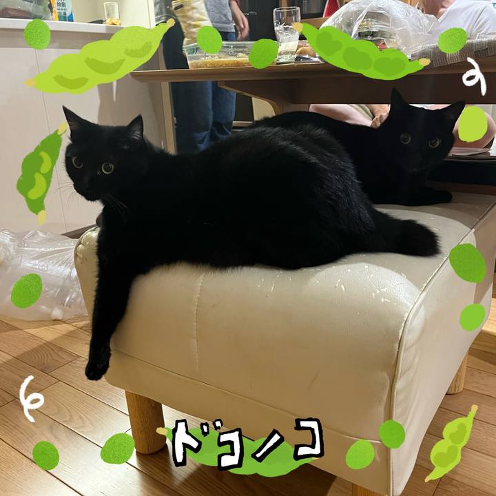 D9670433 c82c 4ad2 b8e8 4308b599106b 1720791346322