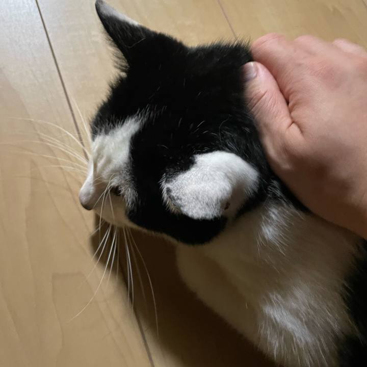 D9671ed1 bd3a 463c 8418 3f4fa5d44eb0 1714331377152