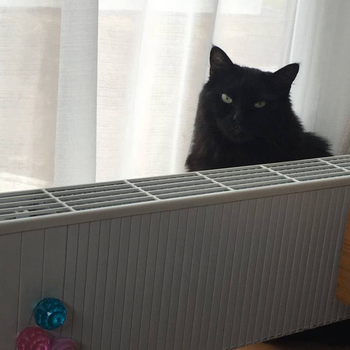 D967278f e4bb 4d66 921a cfa48a6a4a7a 1557389878034