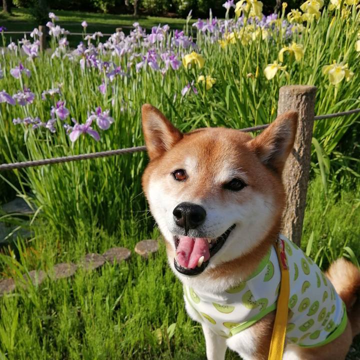 D9673acf 9cc9 4226 9d79 aaa35ab4e2f2 1684935535565