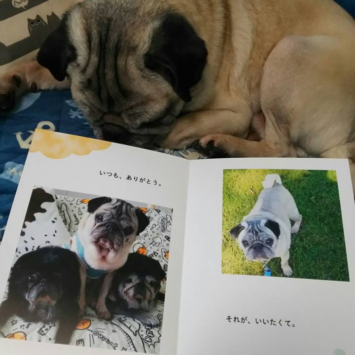 D9674071 8dea 4f19 bd90 f91bd7190da4 1529023841784