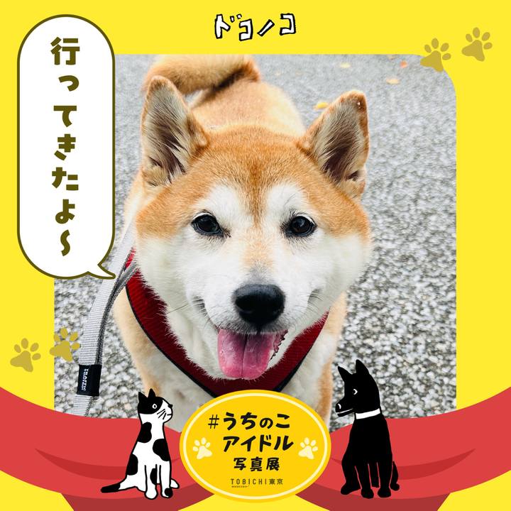 D9675708 e007 4985 9a1a 0aee5f59c8ec 1761129252545