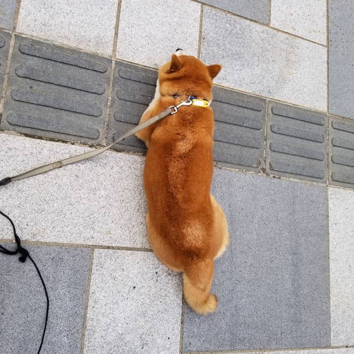 D9677d9b c4ea 450f 8fde c73573682dd5 1571899214718