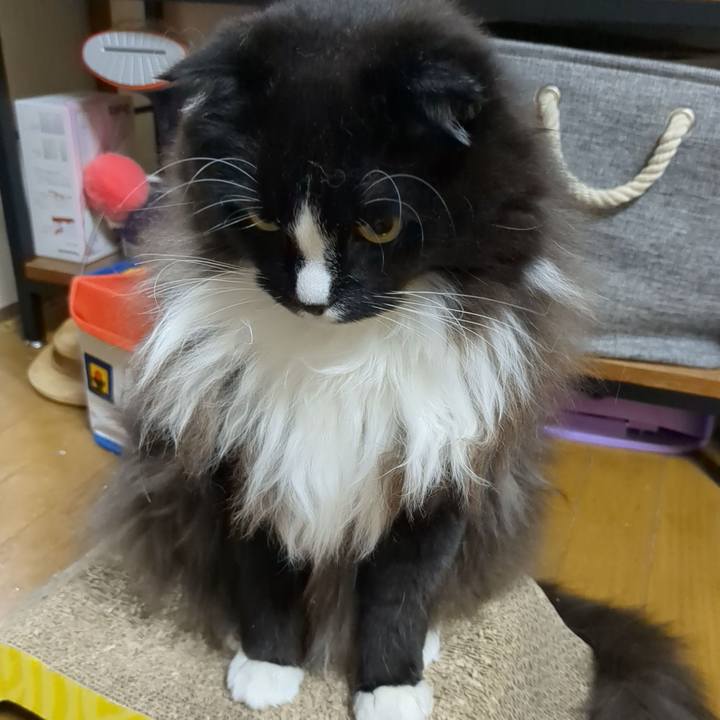 D9679982 c51a 4565 97bb b10f64e668ca 1671446592971