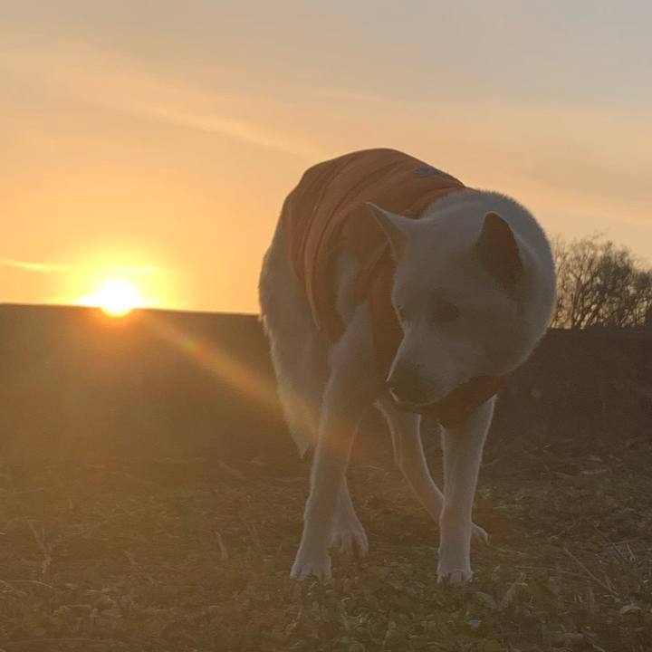 D9679c00 a2df 4e48 a6da 5b177ed4d165 1582544688665