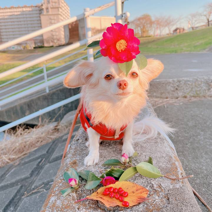 D967aa5d 7d49 4052 85b5 d6c77a4b1b39 1670495010594