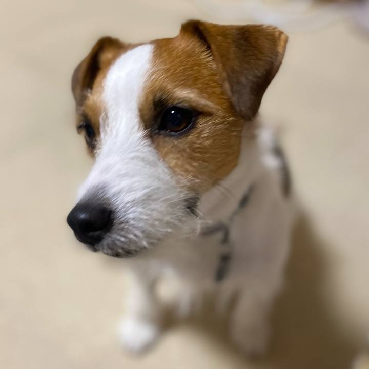 D967ae06 bdc9 4885 b194 6fc3f608fc14 1750339390410