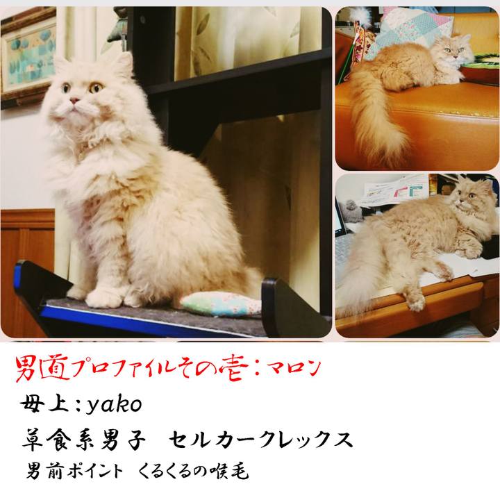 D967ca41 cec9 47e0 bbaf b3abe5fa50dc 1565965724670