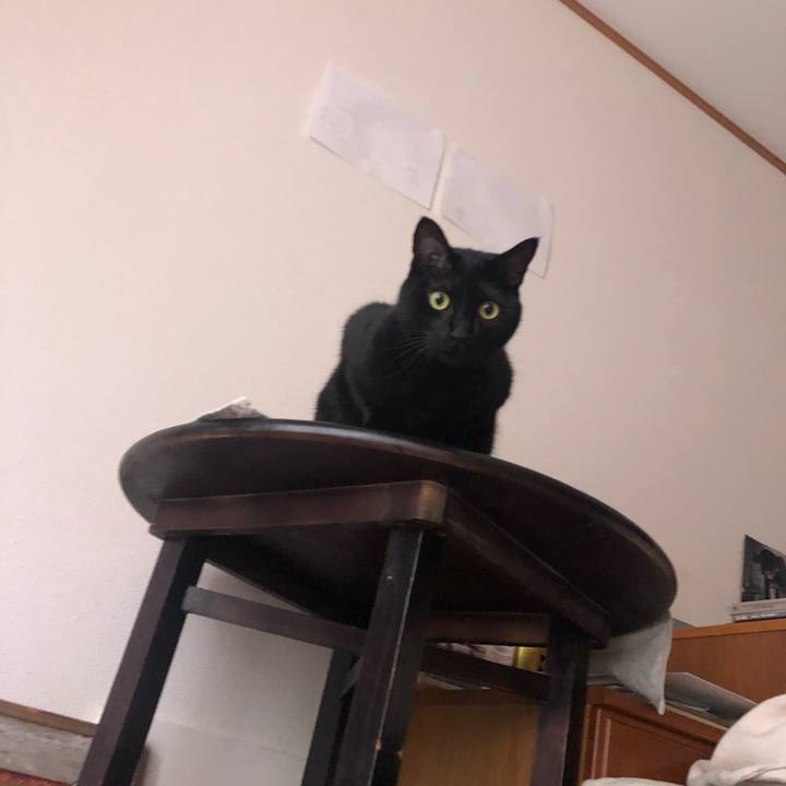 D96800c5 9234 44c3 8bbf bc8ed5497236 1599861044163