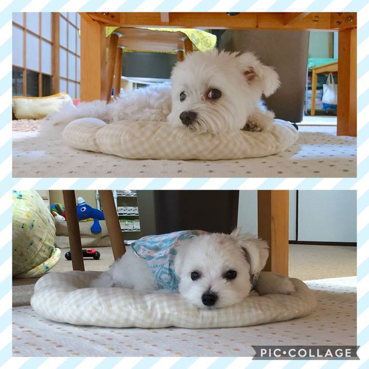 D9682871 2b17 4a38 932a 371ad8b84638 1531029455683