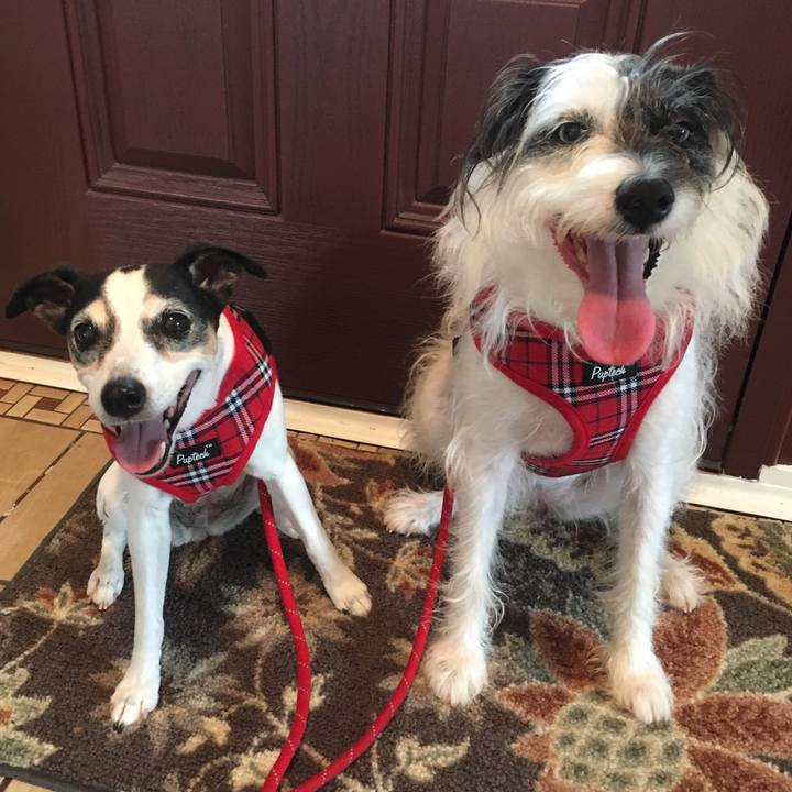 D96848e4 5f7c 4c02 b268 bcfce98ca4de 1546816716800