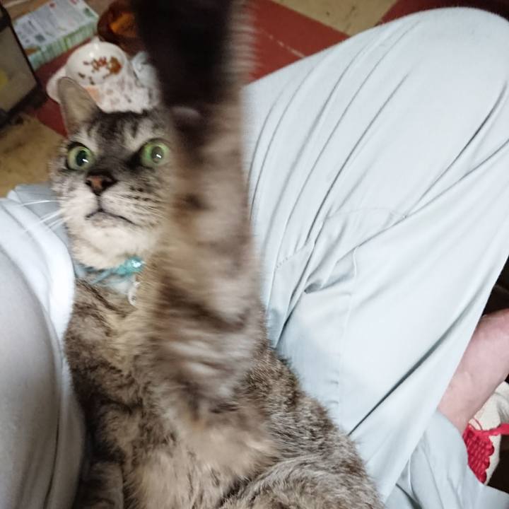 D9686877 bc89 4d59 b712 ab3cfe6afd3a 1566039106854